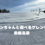 ハンドメイドのダイニングテーブル…黒姫高原スノーパーク