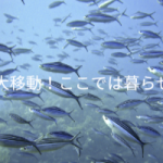 地球温暖化！ここでは暮らせないかもしれない