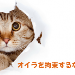 ガマンできない二世帯住宅…わたしは自由なのか？窮屈か？