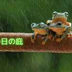 雨の日にあったら便利な庇のはなし