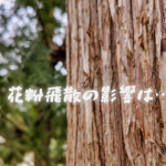 秋の花粉症対策！洗濯室は…外干しの環境ではないようです