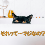 家のプランづくり…エッ？って思うこと