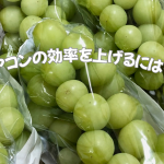 北海道にワイナリー？北上する生産地と断熱材の見直し