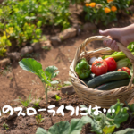 子どもたちが巣立った後の、休日のスローライフに